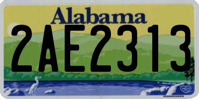 AL license plate 2AE2313