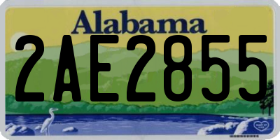AL license plate 2AE2855