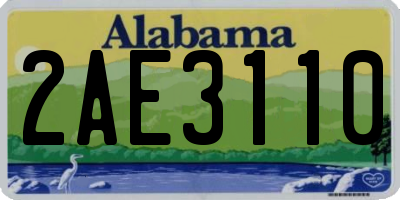 AL license plate 2AE3110