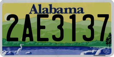 AL license plate 2AE3137