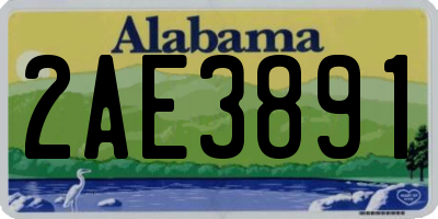 AL license plate 2AE3891