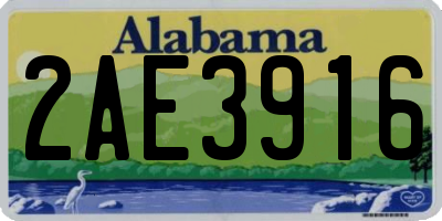 AL license plate 2AE3916