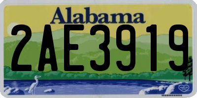 AL license plate 2AE3919