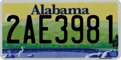 AL license plate 2AE3981