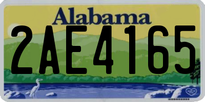 AL license plate 2AE4165