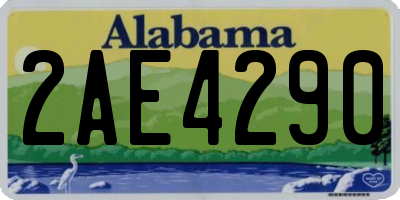AL license plate 2AE4290