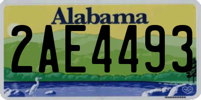 AL license plate 2AE4493