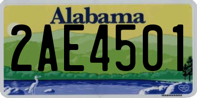 AL license plate 2AE4501