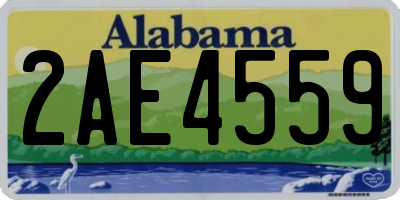 AL license plate 2AE4559