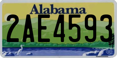 AL license plate 2AE4593