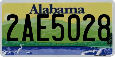 AL license plate 2AE5028