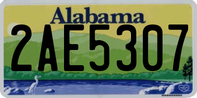 AL license plate 2AE5307