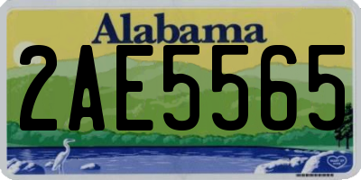 AL license plate 2AE5565