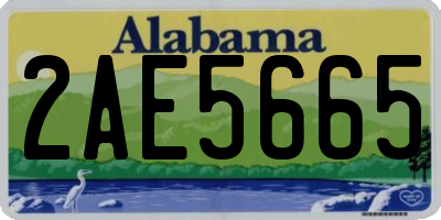 AL license plate 2AE5665