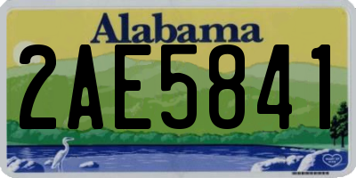 AL license plate 2AE5841