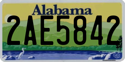 AL license plate 2AE5842