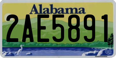 AL license plate 2AE5891
