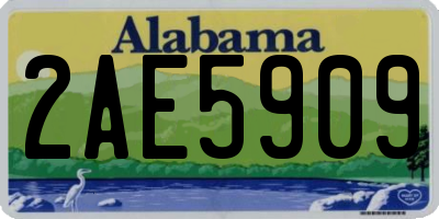 AL license plate 2AE5909