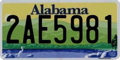 AL license plate 2AE5981