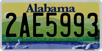 AL license plate 2AE5993