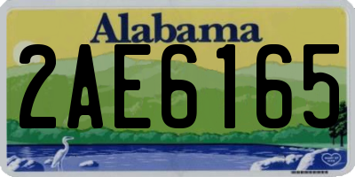 AL license plate 2AE6165
