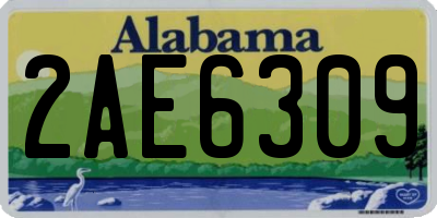 AL license plate 2AE6309