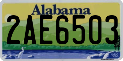 AL license plate 2AE6503