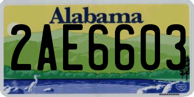 AL license plate 2AE6603