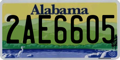 AL license plate 2AE6605
