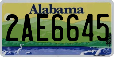 AL license plate 2AE6645