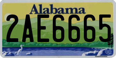 AL license plate 2AE6665