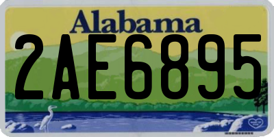 AL license plate 2AE6895