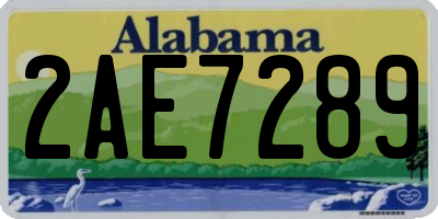 AL license plate 2AE7289