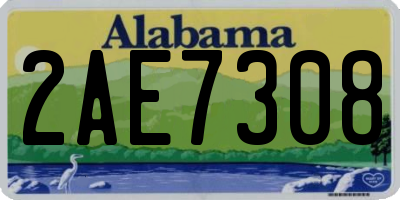 AL license plate 2AE7308