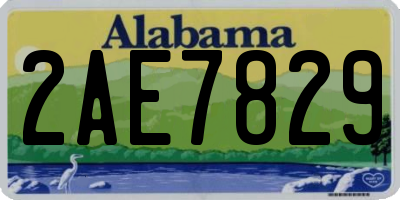 AL license plate 2AE7829