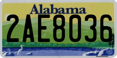 AL license plate 2AE8036