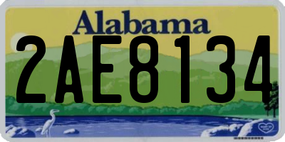 AL license plate 2AE8134