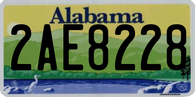 AL license plate 2AE8228