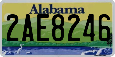 AL license plate 2AE8246