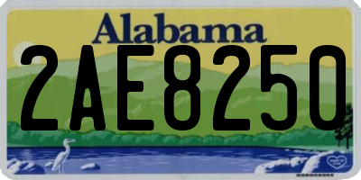 AL license plate 2AE8250