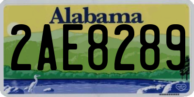 AL license plate 2AE8289