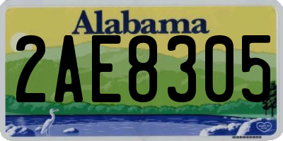 AL license plate 2AE8305