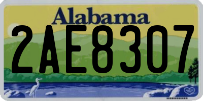 AL license plate 2AE8307