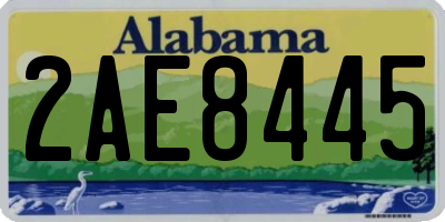 AL license plate 2AE8445