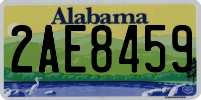 AL license plate 2AE8459