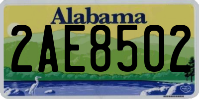 AL license plate 2AE8502