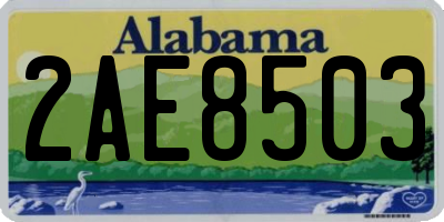 AL license plate 2AE8503
