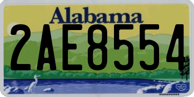 AL license plate 2AE8554