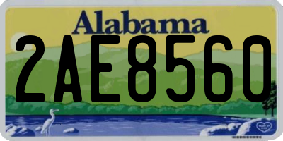 AL license plate 2AE8560