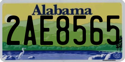 AL license plate 2AE8565